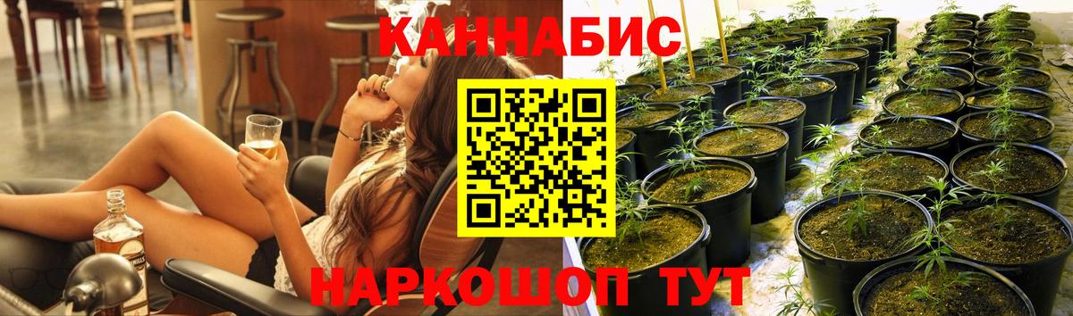 Шишки марихуана конопля Рузаевка
